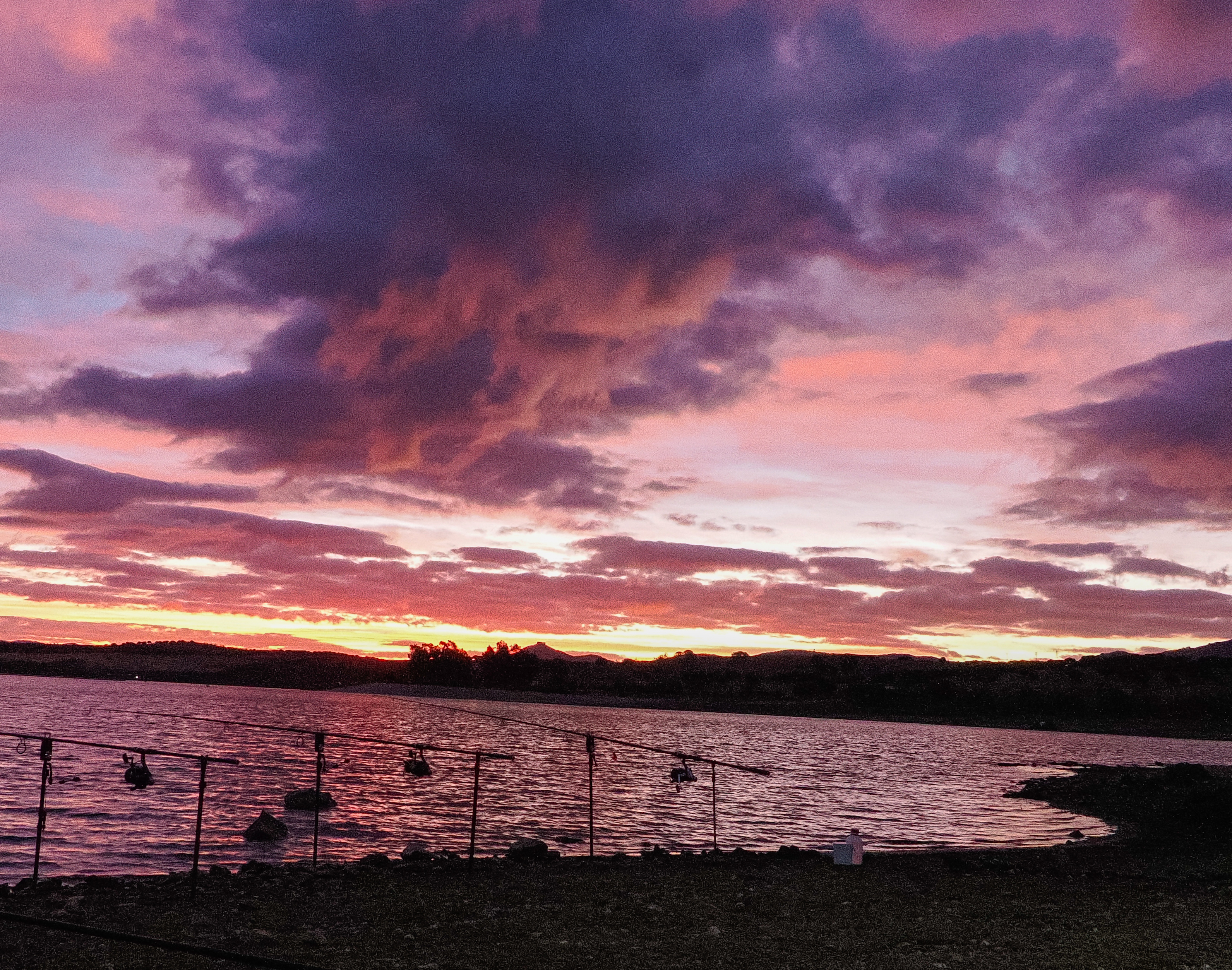 Amanecer carpfishing